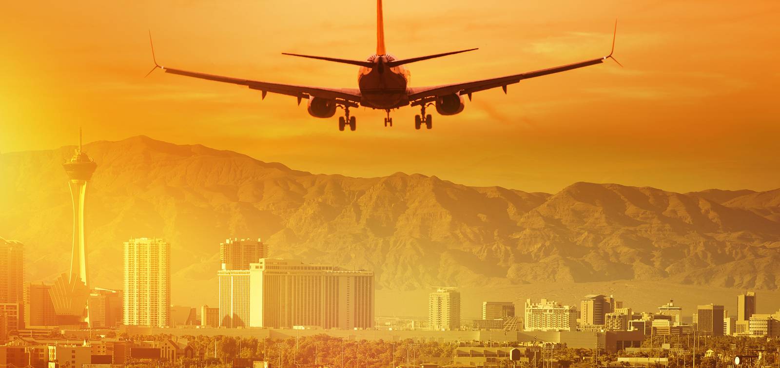 Airplane Las Vegas Skyline