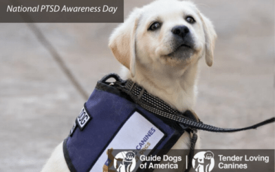 Guide Dogs of America – Tender Loving Canines Mark National PTSD Awareness Day
