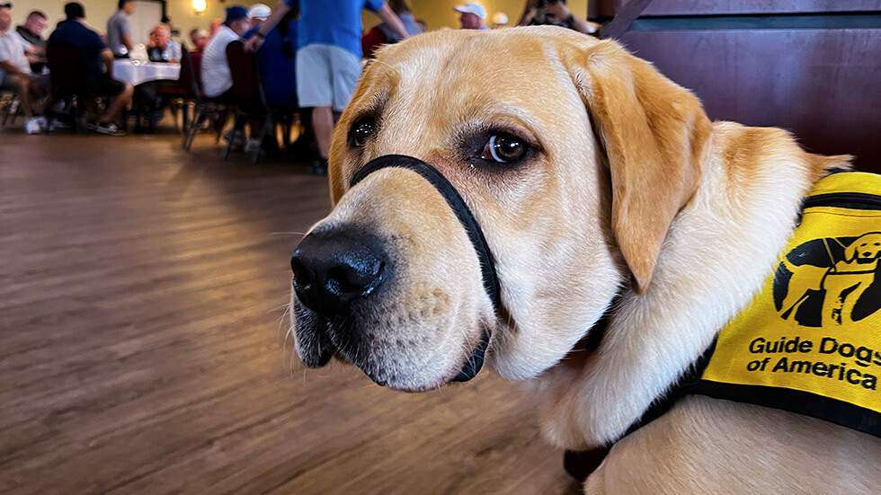 Chicago Guide Dog Golf Outing Raises Funds, Spirits